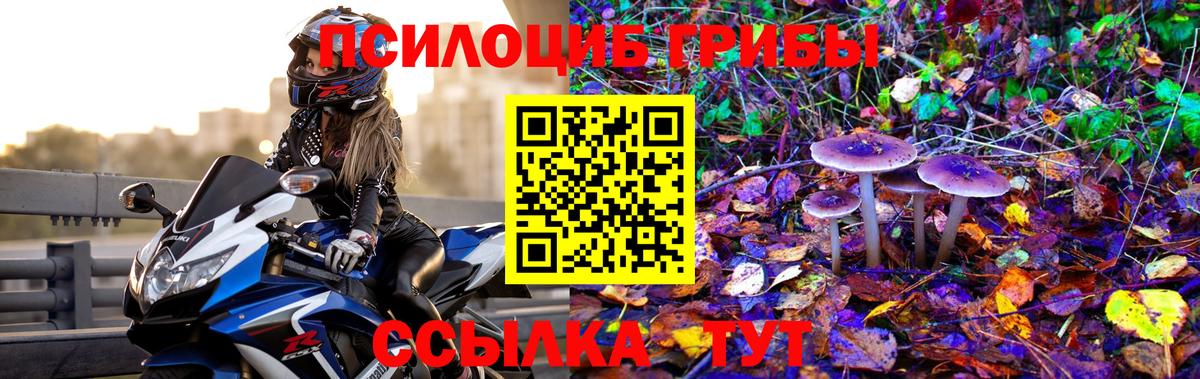 Галлюциногенные грибы Psilocybe Соликамск